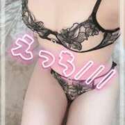 ヒメ日記 2026/04/15 08:30 投稿 めいか【VIP】 理性崩壊×変態美女∞イキ狂い濡恋-ぬれこい-