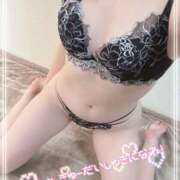 ヒメ日記 2026/05/11 12:31 投稿 めいか【VIP】 理性崩壊×変態美女∞イキ狂い濡恋-ぬれこい-