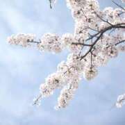 ゆな はじめまして🌸ゆなです🥹 千葉人妻セレブリティ（ユメオト）