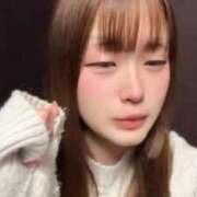 はる みてみて！ IRIS一宮