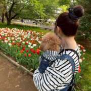 おとは お出かけ日和だったね PINK ROOM（ピンクルーム）