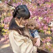 ヒメ日記 2026/04/25 18:51 投稿 おとは PINK ROOM（ピンクルーム）