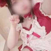 ヒメ日記 2026/04/14 11:06 投稿 もか 2980円（にゃんきゅっぱ）