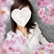 ヒメ日記 2026/04/08 09:15 投稿 神尾　みお スッキリ商事