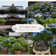 ヒメ日記 2026/06/27 12:03 投稿 神尾　みお スッキリ商事