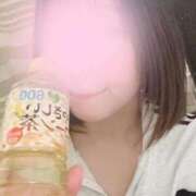 ヒメ日記 2026/04/13 01:06 投稿 はるか【新人奥様】 癒し妻 札幌店