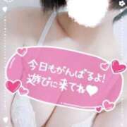 ヒメ日記 2026/04/06 09:27 投稿 りん One More 奥様　西船橋店