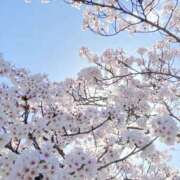 ヒメ日記 2026/04/14 09:30 投稿 るな ミセス クリエーション