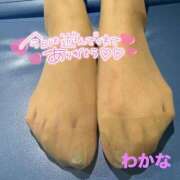 わかな ♡お礼日記④♡ パンスト熟女はいやらしい