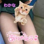 わかな ♡ 10/11 お礼日記② ♡ パンスト熟女はいやらしい