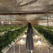 ヒメ日記 2026/04/06 19:33 投稿 そあら Remote Spa Premium(リモートスパプレミアム)