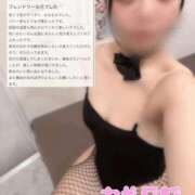 ヒメ日記 2026/04/13 11:41 投稿 むぎ★愛嬌MAXのエロエロ美女 BUNNY PLAS