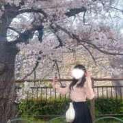 ヒメ日記 2026/04/21 14:19 投稿 百合花【ユリカ】 ピンクコレクション大阪キタ店