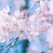 ヒメ日記 2026/04/05 18:17 投稿 ひまり☆ 豊橋豊川ちゃんこ