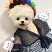 ヒメ日記 2026/04/05 23:29 投稿 れお 白いぽっちゃりさん五反田店