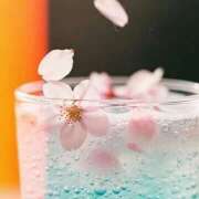 ヒメ日記 2026/04/08 11:57 投稿 このみ Anemone渋谷店