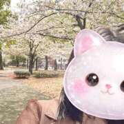 ヒメ日記 2026/04/06 13:55 投稿 橋本　もなみ ハプニングランド