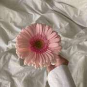 ヒメ日記 2026/04/10 11:15 投稿 橋本　もなみ ハプニングランド