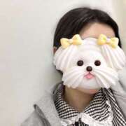 ヒメ日記 2026/04/10 13:23 投稿 橋本　もなみ ハプニングランド