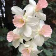 ヒメ日記 2026/04/11 10:26 投稿 橋本　もなみ ハプニングランド