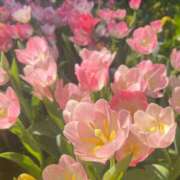 ヒメ日記 2026/04/18 19:11 投稿 橋本　もなみ ハプニングランド