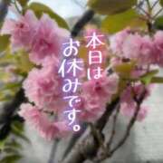 ヒメ日記 2026/04/15 08:46 投稿 汐崎 りお Canx2神戸店