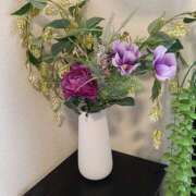 ヒメ日記 2026/04/05 14:26 投稿 みやこ しゅうかつ倶楽部