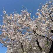 ヒメ日記 2026/04/05 17:44 投稿 ゆうり 東京デザインリング錦糸町店