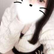 リオ はじめまして❣ ピカソ