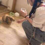 ヒメ日記 2026/07/01 16:53 投稿 うづき 池袋人妻ヒットパレード（シンデレラグループ）