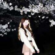 ヒメ日記 2026/04/09 18:26 投稿 ちなつ Versailles