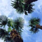 ヒメ日記 2026/04/28 10:04 投稿 瀧沢ほたる(たきざわほたる) 五十路マダムエクスプレス厚木店(カサブランカグループ)