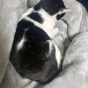 ヒメ日記 2026/04/13 00:55 投稿 りく『新人割SWEET対応』 今ドキ マットMAX