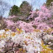 ヒメ日記 2026/04/12 22:14 投稿 ふみの 熟女＆人妻＆ぽっちゃり倶楽部