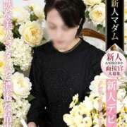 ヒメ日記 2026/05/24 11:49 投稿 長澤 まさみ 熟女・人妻マダム宮殿
