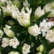ヒメ日記 2026/10/14 16:44 投稿 相葉さとみ 五十路マダム 新潟店(カサブランカグループ)