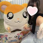 ヒメ日記 2026/08/19 14:27 投稿 ふゆ★感度120％FカップJD Chloe五反田本店　S級素人清楚系デリヘル