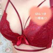 ヒメ日記 2026/06/25 15:59 投稿 明希-あき【FG系列】 ほんとうの人妻 横浜本店