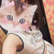 ヒメ日記 2026/04/26 16:46 投稿 せり ミニィ娘くらぶ 日本橋
