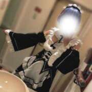 ヒメ日記 2026/04/08 13:46 投稿 しの 奥様メモリアル