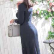 ヒメ日記 2026/04/19 06:46 投稿 しの 奥様メモリアル