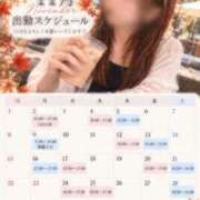しの 11月の予定✍️ 奥様メモリアル