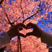 ヒメ日記 2026/04/07 23:06 投稿 きあ コスプレアカデミー