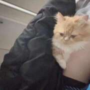 ヒメ日記 2026/04/13 23:56 投稿 きあ コスプレアカデミー