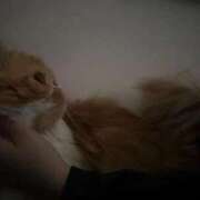 ヒメ日記 2026/04/14 23:56 投稿 きあ コスプレアカデミー