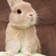 きあ 🐑..💤 コスプレアカデミー