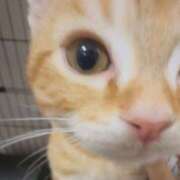 りあら うけしゅ！ コスプレアカデミー