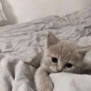 ヒメ日記 2026/04/14 09:16 投稿 りえ コスプレアカデミー