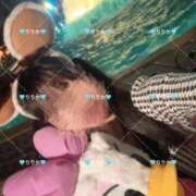 ヒメ日記 2026/10/12 13:46 投稿 りりか きみにメロン組