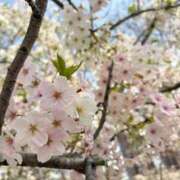 ヒメ日記 2026/04/06 20:44 投稿 ゆい★イチャ好きの現役保育士 Bell～S級美女お姉様・人妻デリヘル～